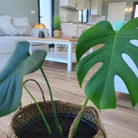 Beer House By Pontanegraazores Casa de Férias *