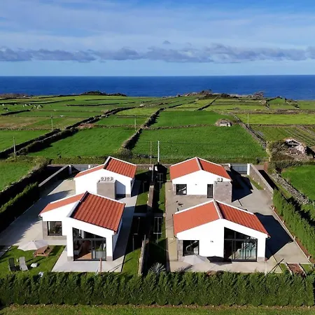 Beer House By Pontanegraazores *