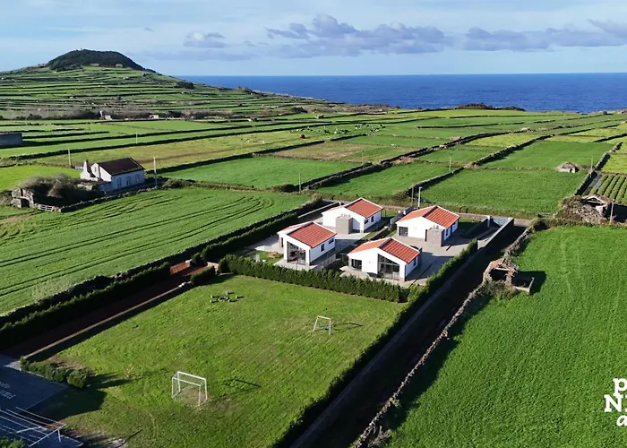 Beer House By Pontanegraazores